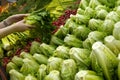 Close up woman selecting green lettuce inside grocery store Royalty Free Stock Photo