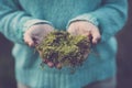 Close up of woman showing grass holding in hands. Midsection of woman in blue sweater with fresh green grass on palm of her hands