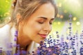 close up of woman smelling lavender flowers Royalty Free Stock Photo