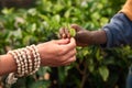 Close up woman and takes tea leaf from Sri Lankan boy in asia on plantation landscape in Sri Lanka