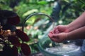 Close up woman washing her hands in the bath Cleaning kills COVID 19 in a clean