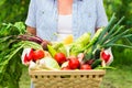 Close up Woman wearing gloves with fresh vegetables in the box i Royalty Free Stock Photo