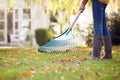 Close Up Of Woman Working In Garden At Home Raking And Tidying Leaves Royalty Free Stock Photo