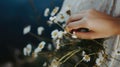 Close-up of a woman& x27;s hand holding a daisy, blurred greenery Royalty Free Stock Photo