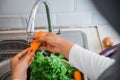 close up of woman& x27;s hand washing carrots with running water Royalty Free Stock Photo