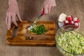 Close-up of woman& x27;s hands chopping green onions with a kitchen knife for making salad on a wooden cutting board Royalty Free Stock Photo