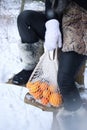 Close up of woman's hands holding a bag with mandarines, outdoors in the forest with snow Royalty Free Stock Photo