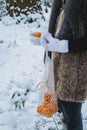 Close up of woman& x27;s hands holding a bag with mandarines, outdoors in the forest with snow Royalty Free Stock Photo