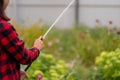 Close up of woman's hands watering vegetable garden from hose. Portrait of housewife courting of garden in summertime.