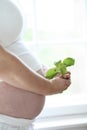 Close-up of a womans bare pregnant belly. Royalty Free Stock Photo