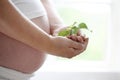 Close-up of a womans bare pregnant belly. Royalty Free Stock Photo