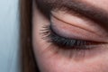 close up of womans brown eye lid with false eye lashes Royalty Free Stock Photo