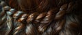 Close Up of Womans Intricate Braided Hair