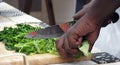 Close-up of women`s hands chopping vegetables