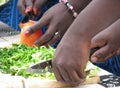 Close-up of women`s hands chopping vegetables