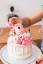 Close-up of women`s hands decorating the cake with fresh flowers Royalty Free Stock Photo