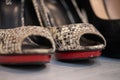 A close up of a women's shoe, snake leather peep toe and black suede pumps Royalty Free Stock Photo