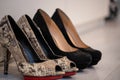 A close up of a womens shoe, snake leather peep toe and black suede pumps Royalty Free Stock Photo