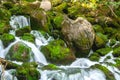 Close-up of wonderful tiers of little waterfall motion with rocks and moss in deep forest , Located in the north of spain. Royalty Free Stock Photo