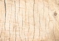 Wood cross section rings nature texture with line cracked patterns of tree trunk background. , vertical Royalty Free Stock Photo