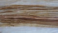 Close up wood cut texture Royalty Free Stock Photo