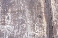 close up of a wood panel texture - Old wooden planks background with and nails Royalty Free Stock Photo