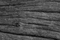 Wood texture background with gnarl Royalty Free Stock Photo