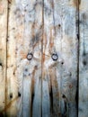 Close up wood texture vertical lines door natural drawing wood background carpenters work