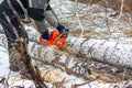 Close-up of a woodcutter sawing a tree with a chainsaw in winter. January 18, 2020, Chelyabinsk, Russia