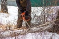 Close-up of a woodcutter sawing a tree with a chainsaw in winter. January 18, 2020, Chelyabinsk, Russia