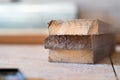 Close-up of a wooden board affected by a fungus at the cut point. Mold on wood materials on saw cut Royalty Free Stock Photo