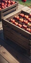 a close up of a wooden crate filled with red apples