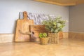 Close up of wooden cutting boards and potted plants inside the kitchen of a home