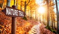 Wooden Directional Sign with Text Nature Trail in the Forest - Generative Ai Royalty Free Stock Photo