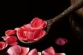 Close up of wooden ladle full of soft rose petals on black