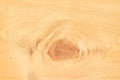 Wooden patterns seamless nature texture with eye and ring many layer abstract for background Royalty Free Stock Photo