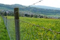 A close up of a wooden pole and a wire fence surrounding a grazing land or pastures full of buttercups in blossom, a rural scene Royalty Free Stock Photo