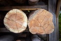 Close up of wooden sawed trees stacked