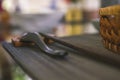 Close-up of wooden spoon and chopsticks next to a rattan rice bowl, inside is a traditional Vietnamese lunch, rice, soup, salty Royalty Free Stock Photo