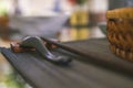 Close-up of wooden spoon and chopsticks next to a rattan rice bowl, inside is a traditional Vietnamese lunch, rice, soup, salty Royalty Free Stock Photo