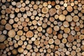 Close up wooden stacked sawn logs for background or abstraction