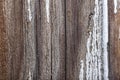 Close-up of a wooden surface with microcracks and resin at high magnification Royalty Free Stock Photo