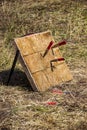 A wooden target and throwing knives