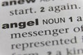 Close up of the word Angel