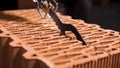Close up of a worker using a block cutting automatic saw to prepare ceramic blocks for building process. Stock footage Royalty Free Stock Photo