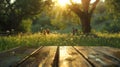 Close-up of a worn wooden picnic table with character, perfect for a summer picnic theme Royalty Free Stock Photo