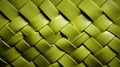 A close up of a woven green bag Royalty Free Stock Photo