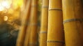 Close Up of Yellow Bamboo Poles Royalty Free Stock Photo