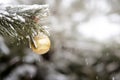 Close up of yellow christmas ball on a fir tree branch Royalty Free Stock Photo