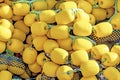 Close up yellow colored fishing net Royalty Free Stock Photo